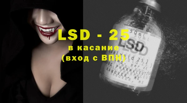 ГАЛЛЮЦИНОГЕННЫЕ ГРИБЫ Няндома