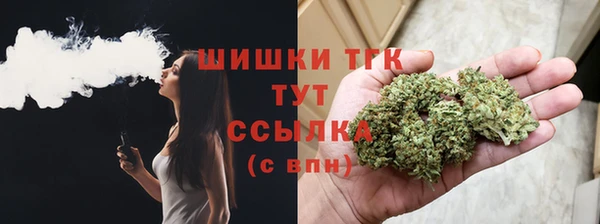 дживик Вязьма