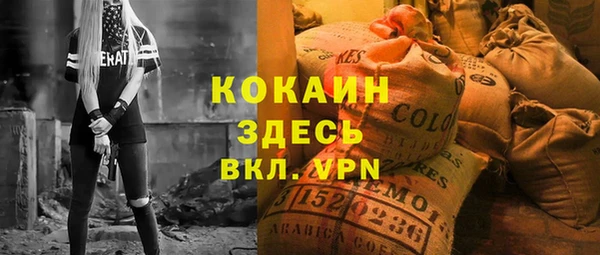 дживик Вязьма