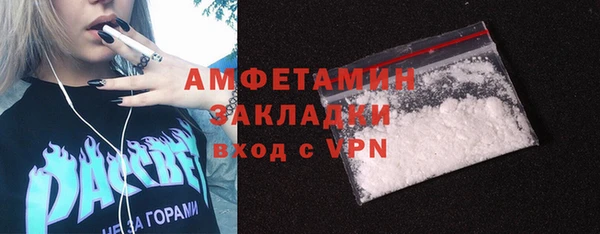 ГАЛЛЮЦИНОГЕННЫЕ ГРИБЫ Няндома